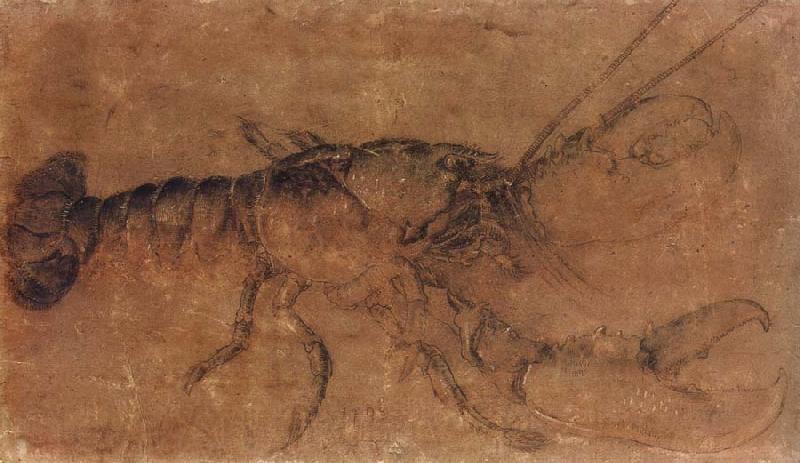 Albrecht Durer A Lobster France oil painting art